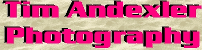sandred.jpg